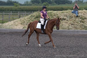 ISIS Dressage Challenge 2008